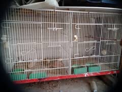 BIRD CAGE