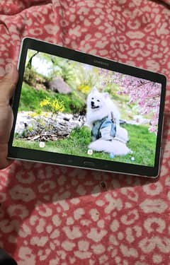 Samsung Galaxy  Tab S -SM T800 16GB