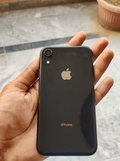 Iphone. Xr