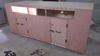 Big size Brooder