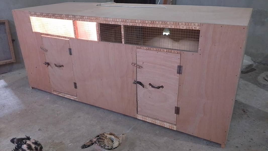 Big size Brooder 0