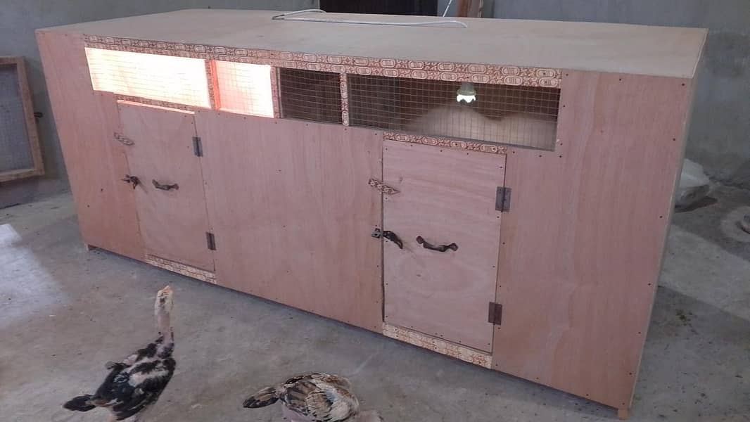 Big size Brooder 2