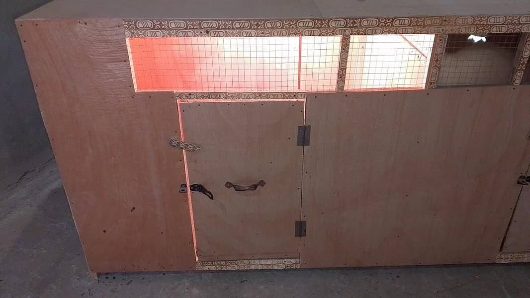 Big size Brooder 3