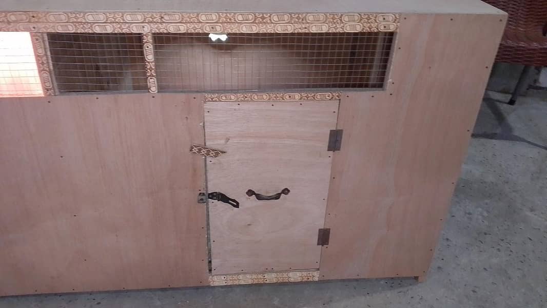 Big size Brooder 4