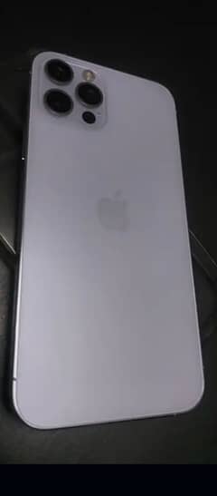 12  pro