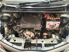 vitz,