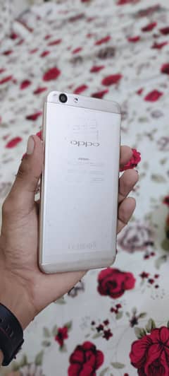 oppo