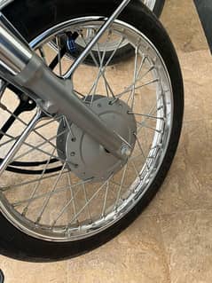 Honda 125 24/25