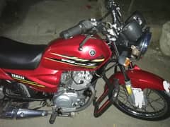 Red beauty ybz 125 2022 model Urgent sale final 275k demand 3lakh yb