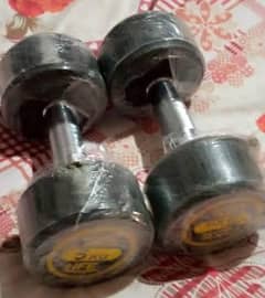 Dumble 5 kg Weight