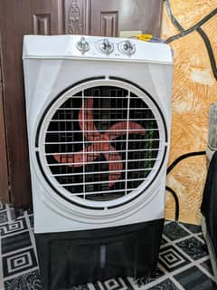 12v