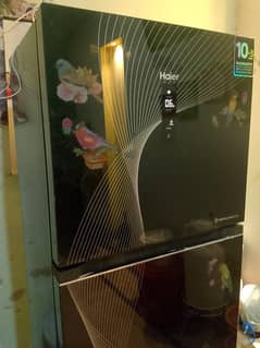 Haier Refrigerator 10/10 for sale