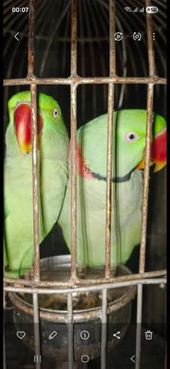 R.