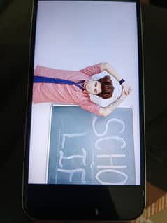 Sego
