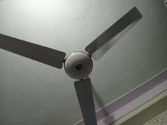 ceiling