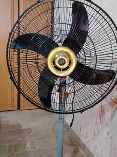 tamoor