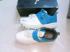 Original CA pro Guard 70 spikes circket shoes