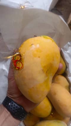 Mango Chunsa The King of Taste