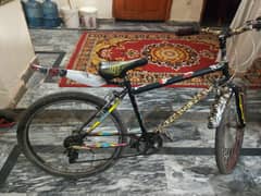 cycle for sale