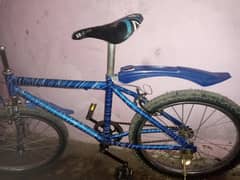 The Best cycle