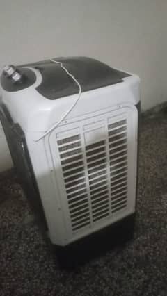 new ha urgent sal full size 03185702638