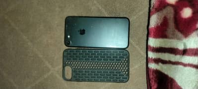 phone