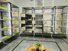 Cages available for sale per cage 4 portion