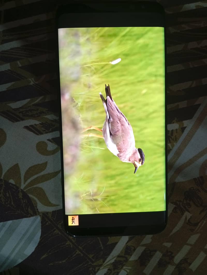 Samsung galaxy S8 edge, used, in good working condition, no faults. 6