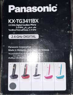 Panasonic