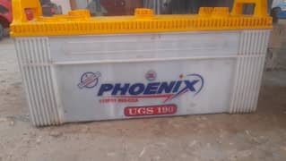 phonix