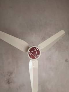 celling fan (Ac/dc)  fixed price