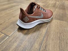 Nike zoom pegasus