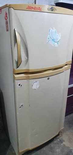 Pil  Fridge