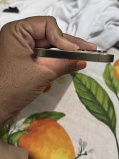 12pro