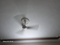 ceiling fan