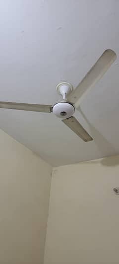 Celling