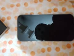 iphone 16 pm