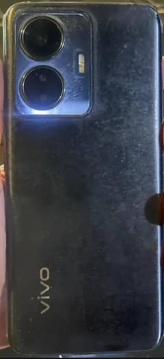 y55