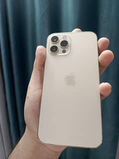 Iphone 12 pro max apple
