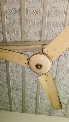 Ceiling Fans For Sale