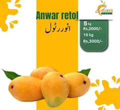 Mango Plante