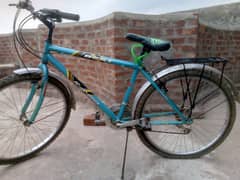 Bike cycle