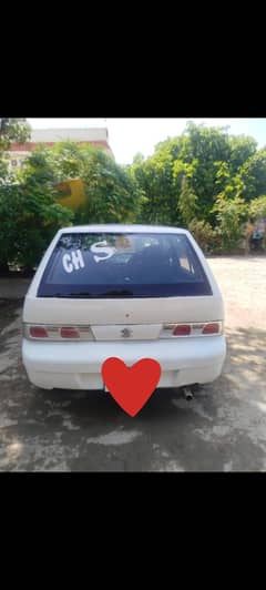 Suzuki cultus