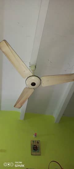pak fan