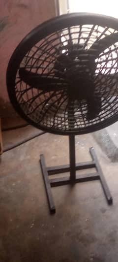 new hai