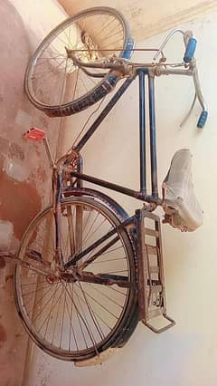cycle