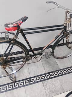 Sohrab for sale