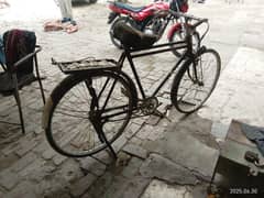 Sohrab Cycle 24"