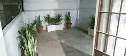 Single Storey Plus Basement House Available For Sale In Prime Location