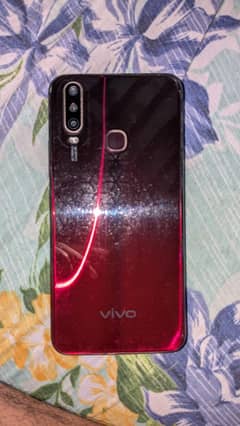 Vivo